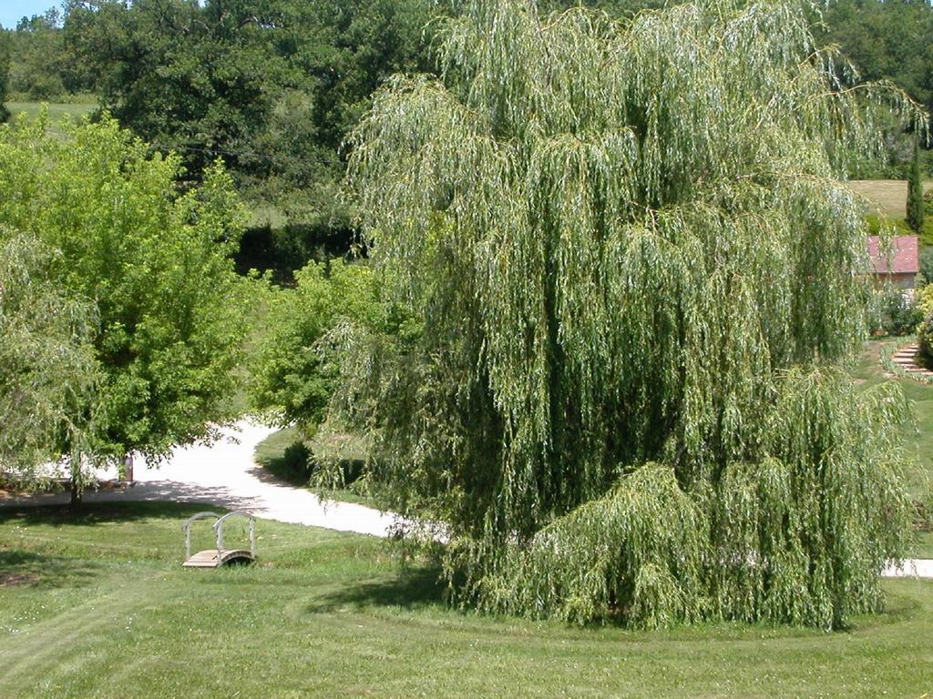 Villa Hameau Les Combelles Martel Esterno foto